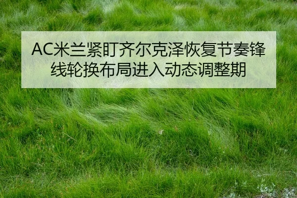 AC米兰紧盯齐尔克泽恢复节奏锋线轮换布局进入动态调整期