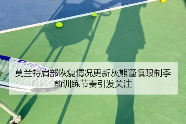 莫兰特肩部恢复情况更新灰熊谨慎限制季前训练节奏引发关注